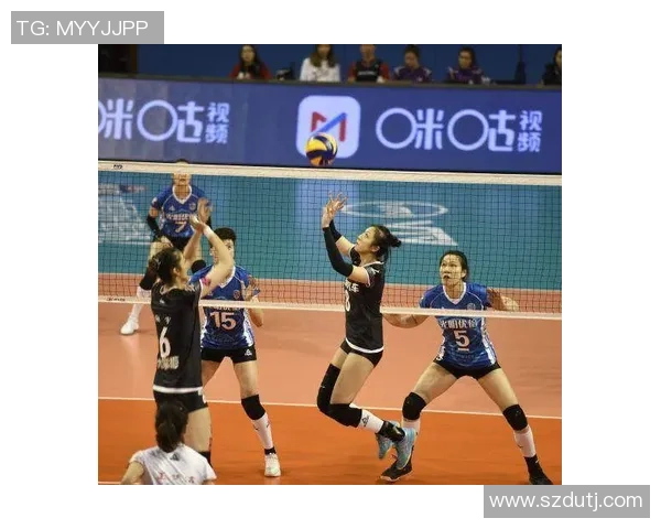 北京排球队状态对比分析及未来发展趋势探讨